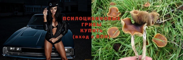 Альфа ПВП Абдулино