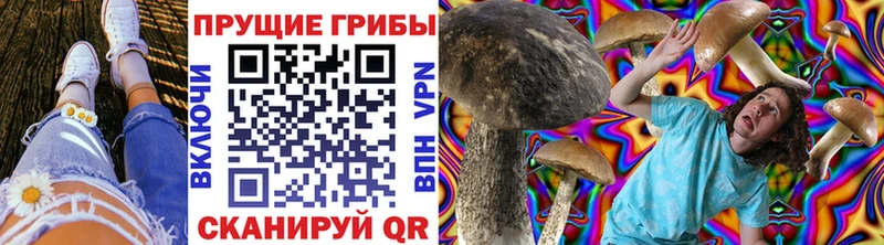 цены наркотик  Никольское  Псилоцибиновые грибы мухоморы 