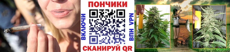 omg   Никольское  нарко площадка наркотические препараты  Конопля White Widow 